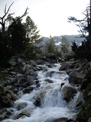 IMGP5404